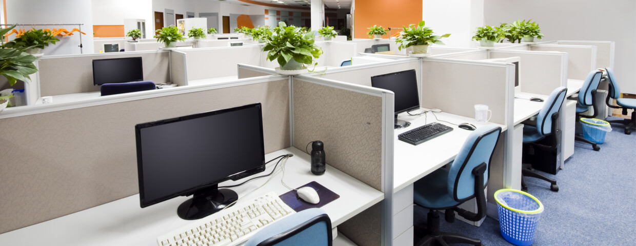 cubicle cubicle